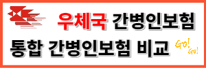 우체국 간병인보험